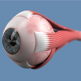 Protegge dagli effetti dannosi